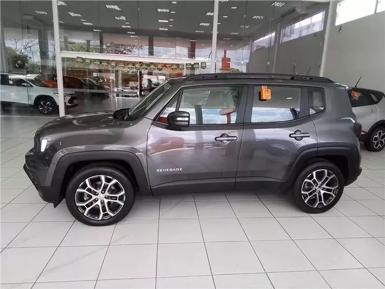 Jeep Renegade Cinza 3