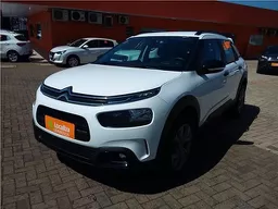 C4 Cactus