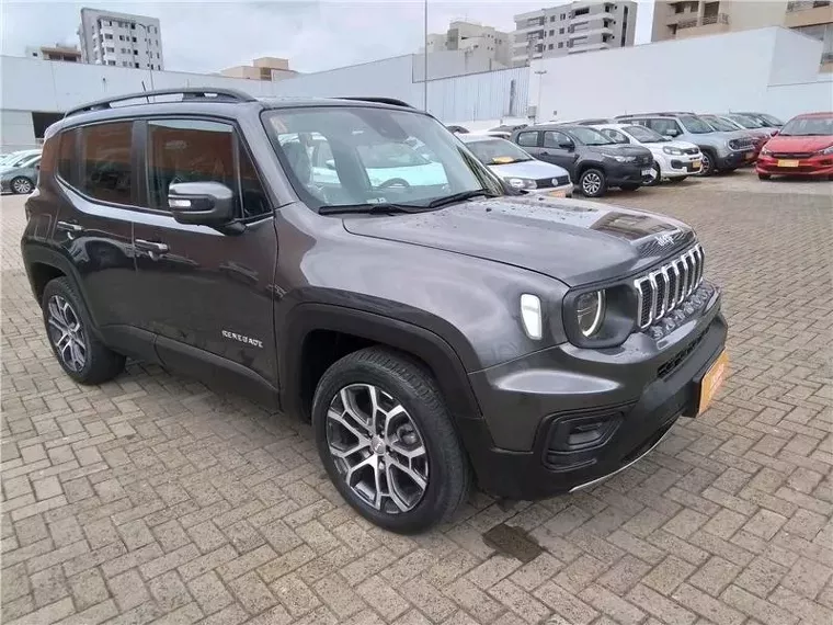 Jeep Renegade Cinza 3