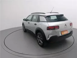 C4 Cactus