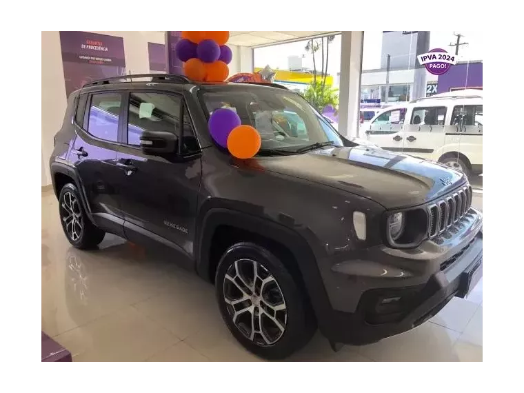 Jeep Renegade Cinza 1