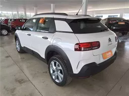 C4 Cactus