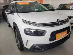 C4 Cactus