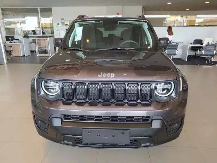 Jeep Renegade Cinza 13