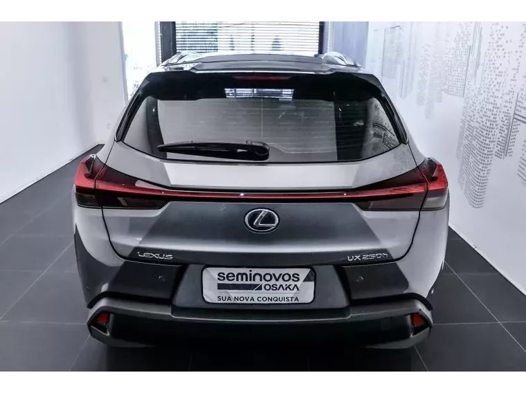 Lexus UX 250H Cinza 8