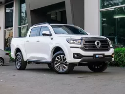 GWM Poer P30