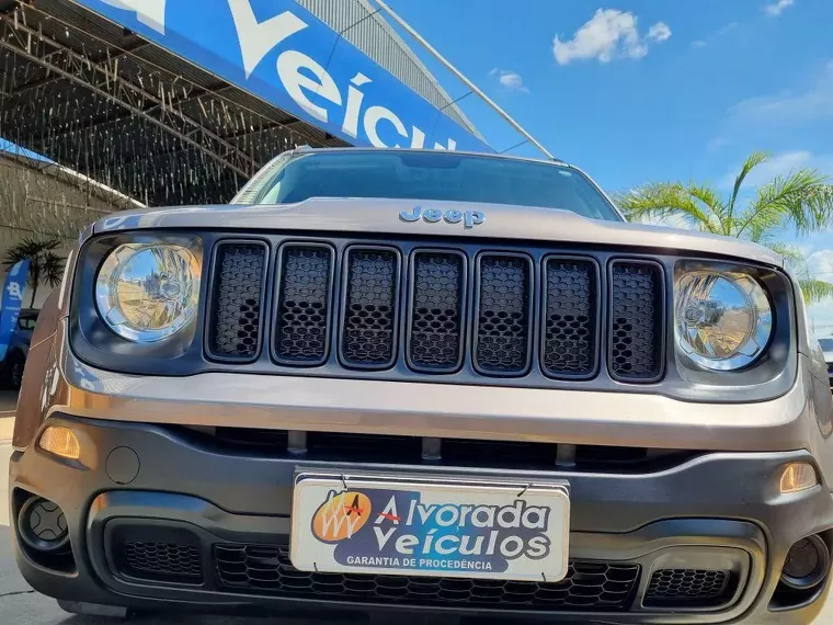 Jeep Renegade Cinza 4