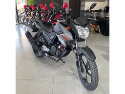YS 150