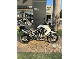 Tiger 800