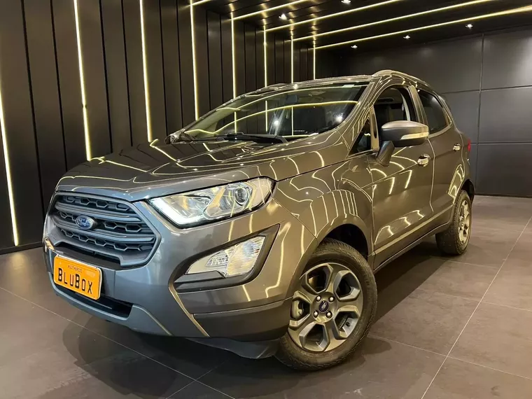 Ford Ecosport Cinza 1