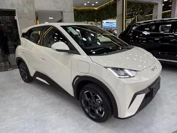 BYD Dolphin Mini