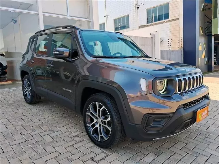 Jeep Renegade Cinza 2