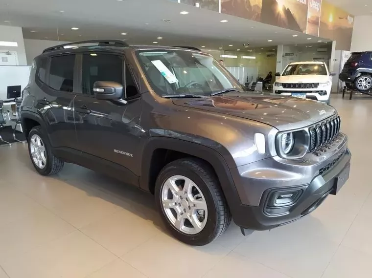 Jeep Renegade Cinza 6