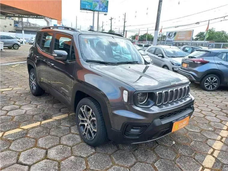 Jeep Renegade Cinza 3