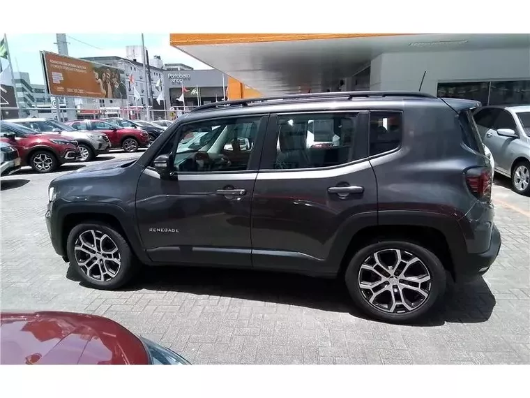 Jeep Renegade Cinza 3