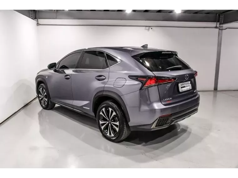 Lexus NX 300H Cinza 6