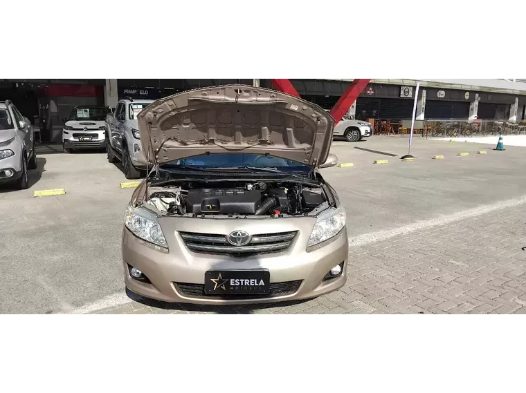 Toyota Corolla Bege 8