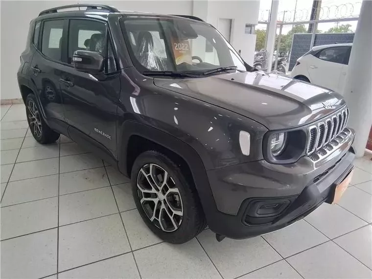 Jeep Renegade Cinza 5