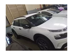 C4 Cactus