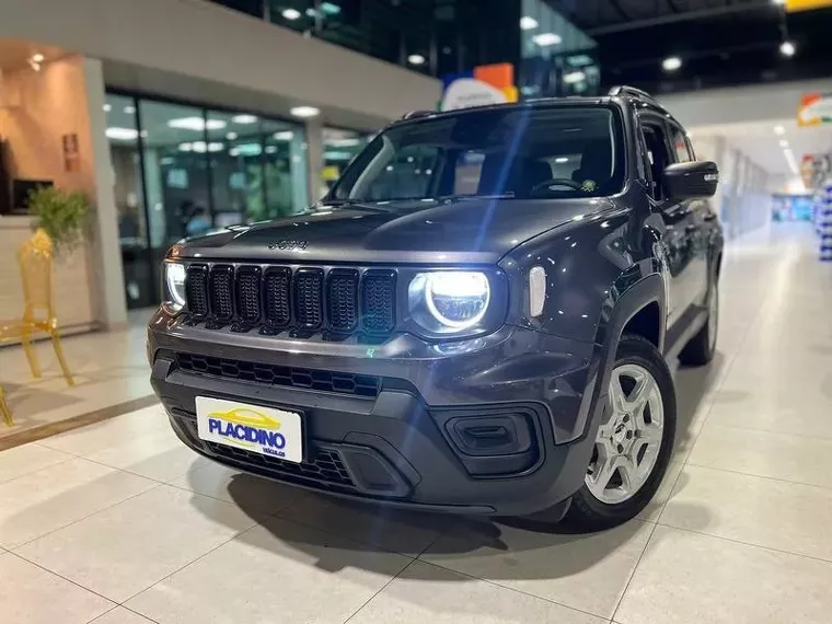 Jeep Renegade Cinza 10