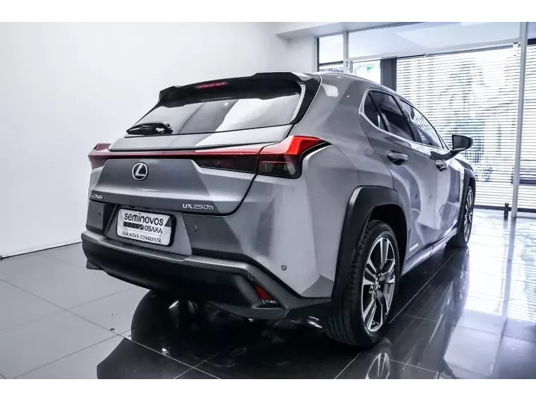 Lexus UX 250H Cinza 2