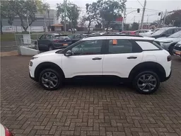 C4 Cactus