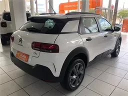 C4 Cactus