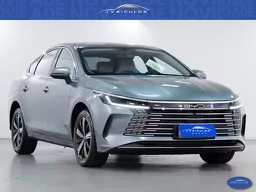 BYD King