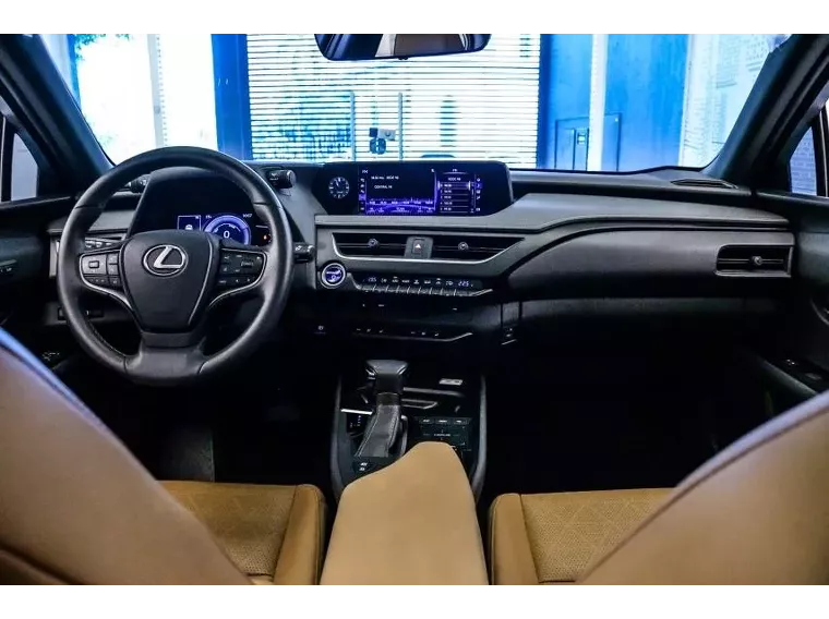 Lexus UX 250H Cinza 10