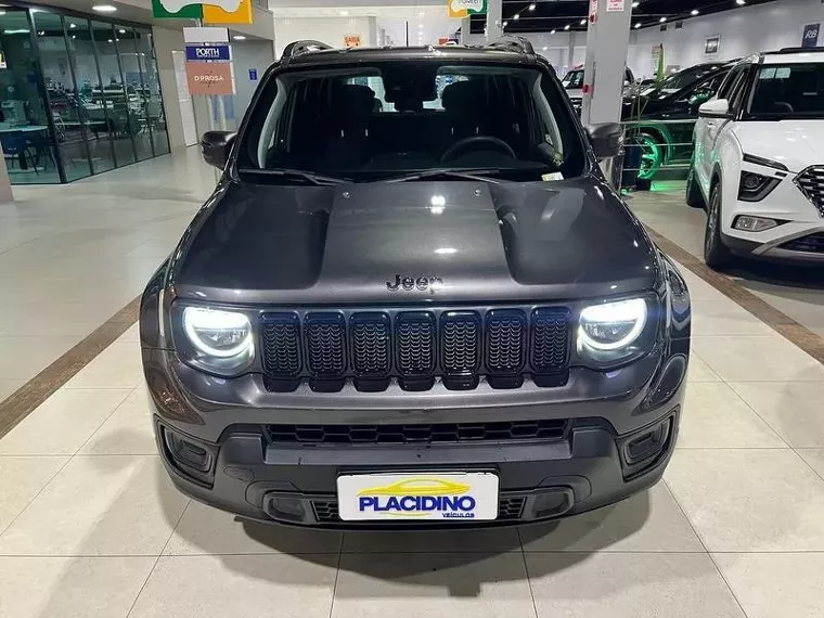 Jeep Renegade Cinza 12