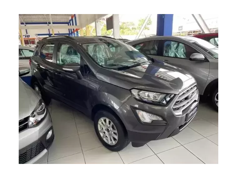 Ford Ecosport Cinza 6