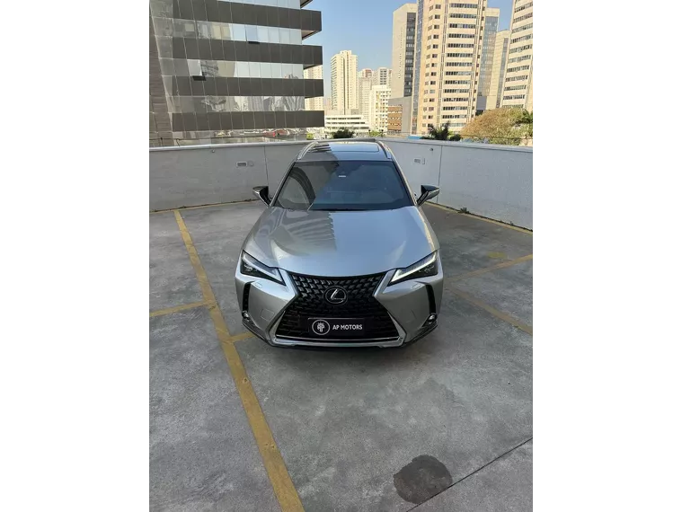 Lexus UX 250H Cinza 2