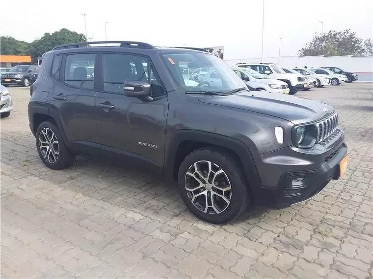 Jeep Renegade Cinza 8