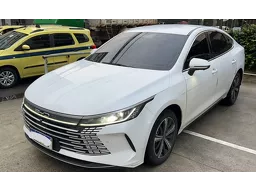 BYD King