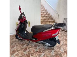 Burgman