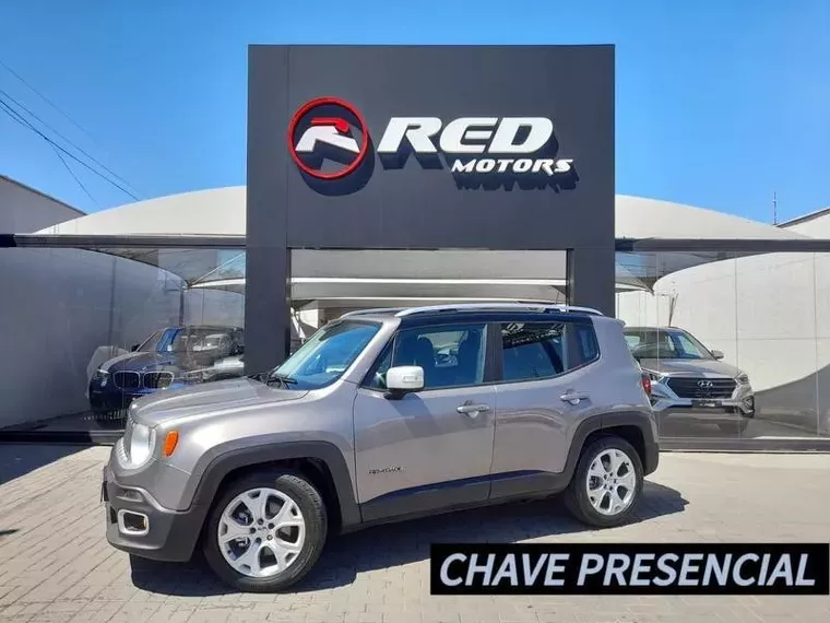 Jeep Renegade Cinza 7