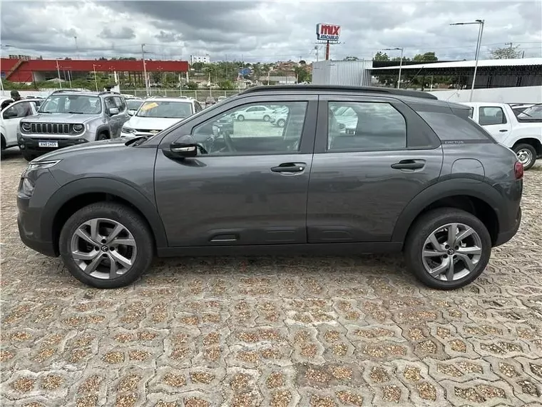 Citroën C4 Cactus Cinza 2