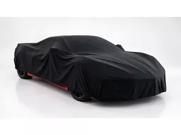 BYD Dolphin Mini
