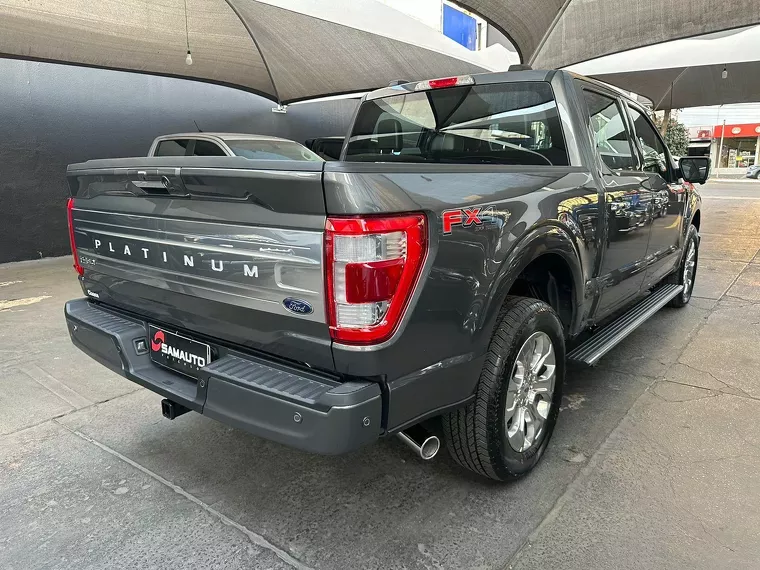 Ford F-150 Prata 12