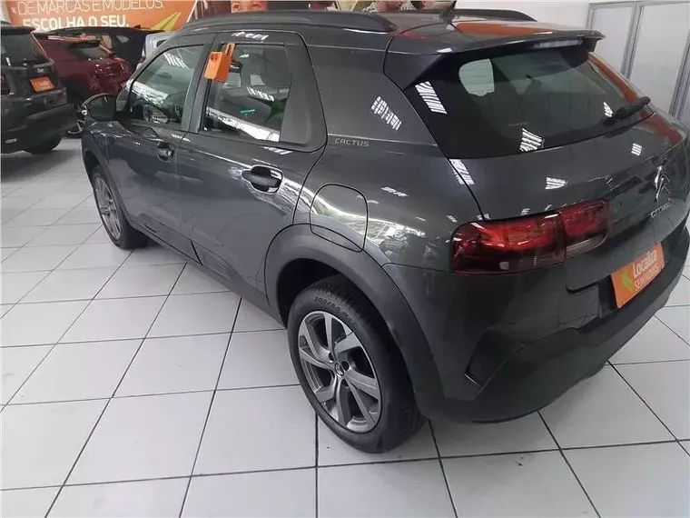 Citroën C4 Cactus Cinza 5