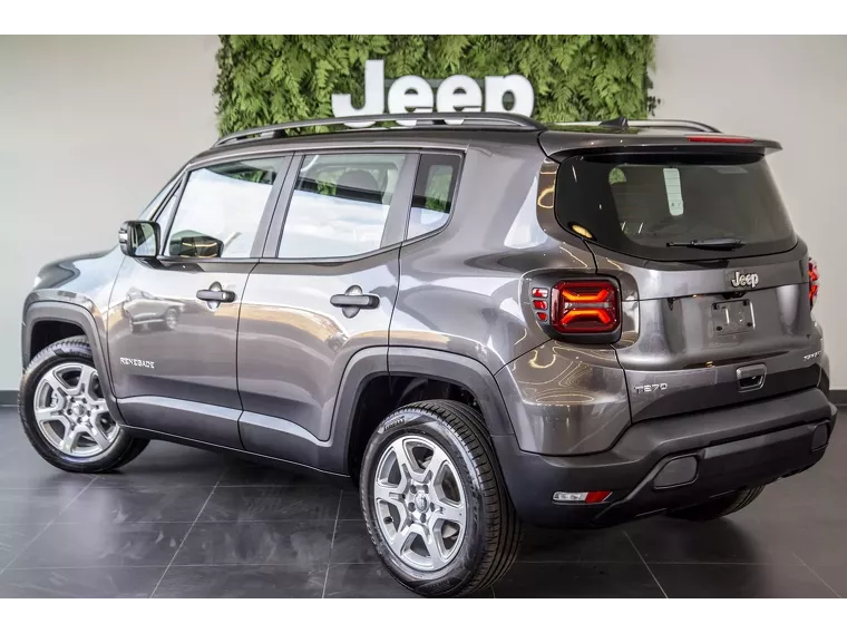 Jeep Renegade Cinza 5