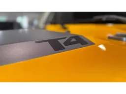 Troller T4
