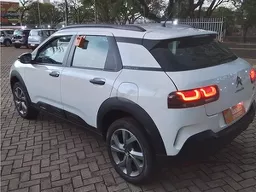 C4 Cactus