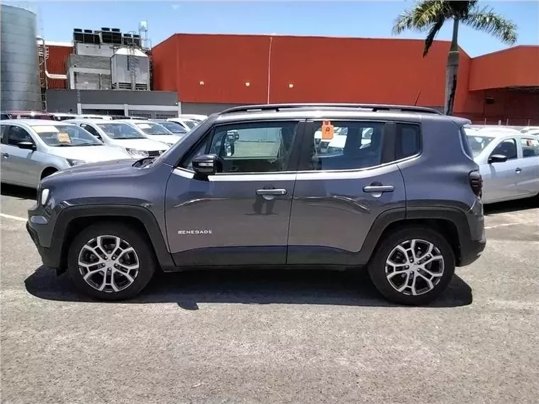 Jeep Renegade Cinza 9