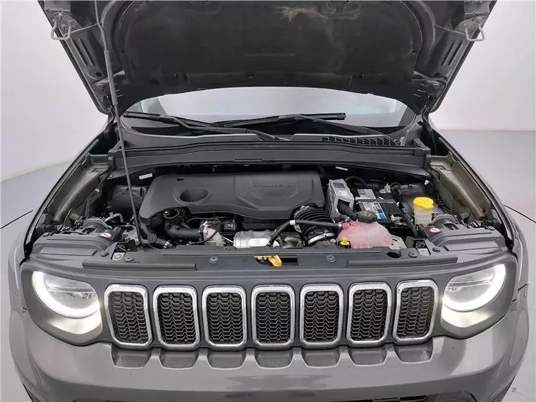 Jeep Renegade Cinza 10