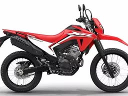 XR 300L