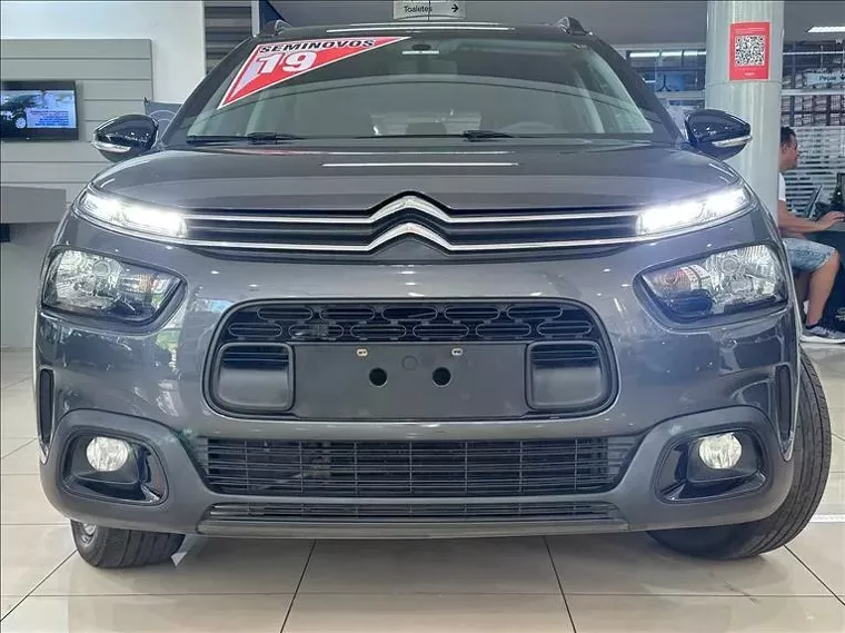 Citroën C4 Cactus Cinza 11