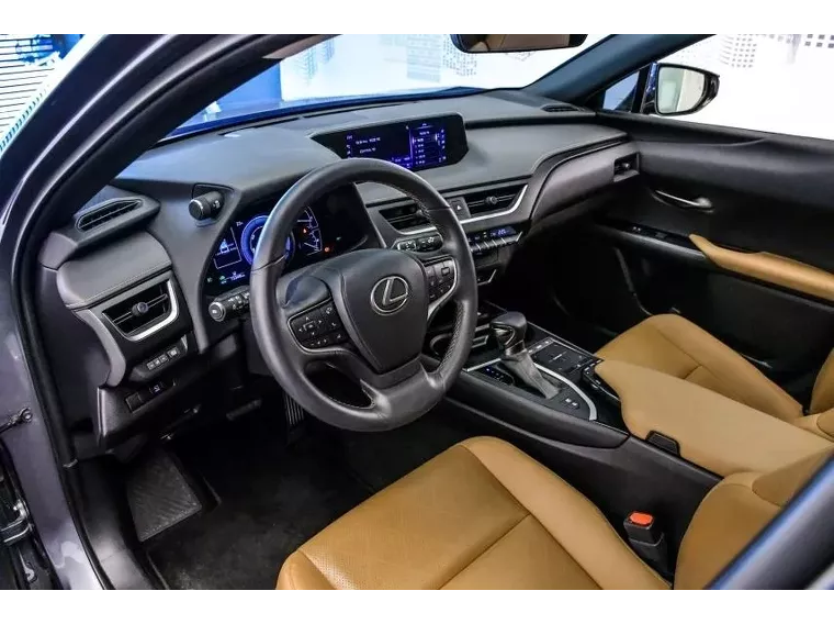 Lexus UX 250H Cinza 17