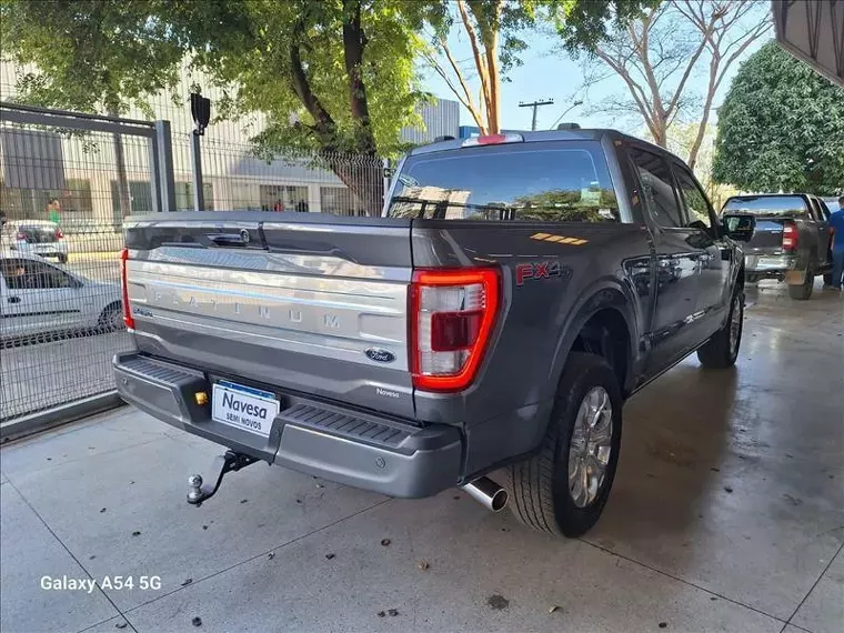 Ford F-150 Cinza 16