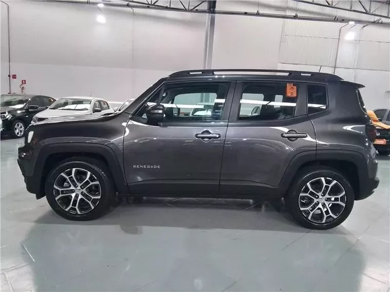 Jeep Renegade Cinza 4